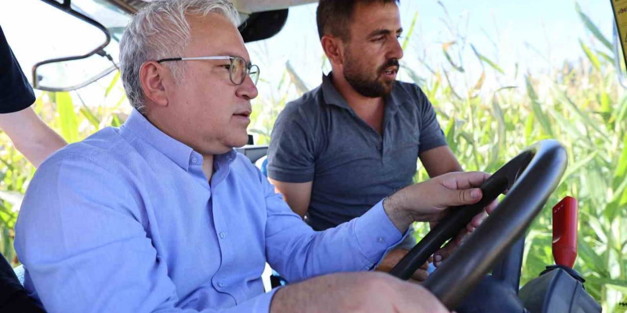 Hasadı Başladı, 200 Bin Ton Rekolte Bekleniyor