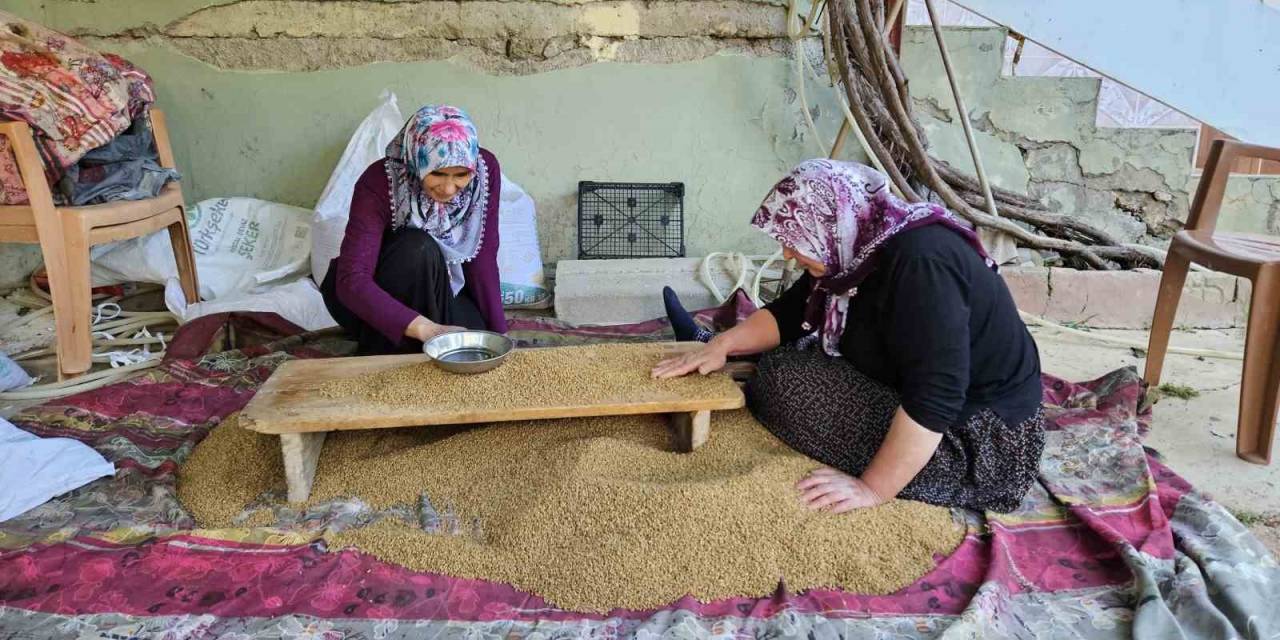 Buğdayın, Bulgur Olma Yolculuğu Başladı