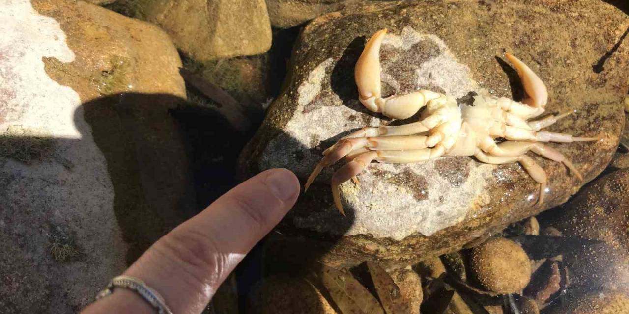 Antalya’da Üzümdere Irmağı Kurudu