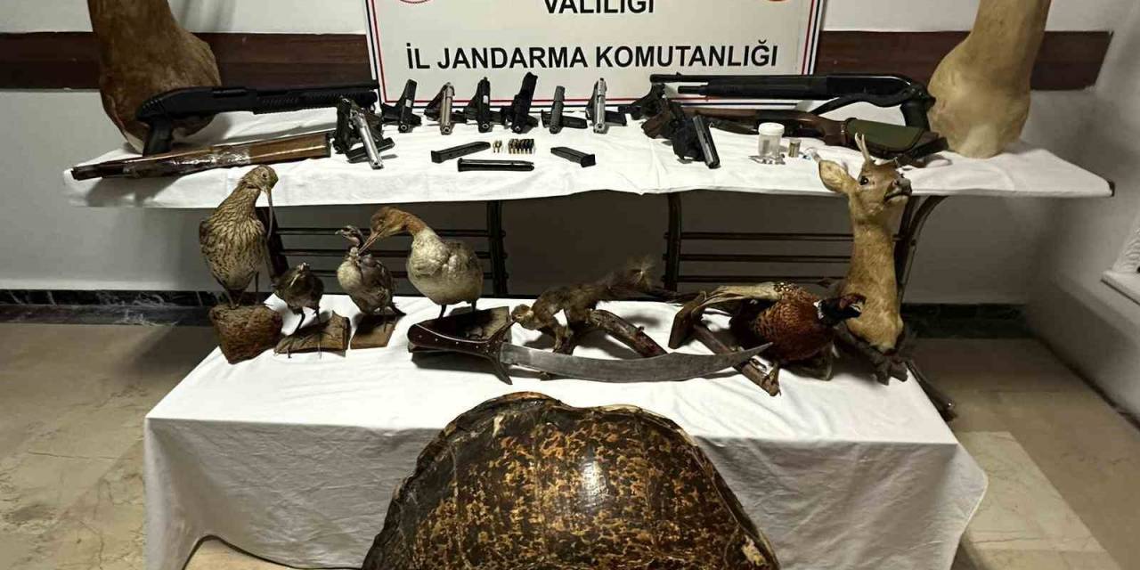 Baskın Yapılan Evden Cephanelik Çıktı