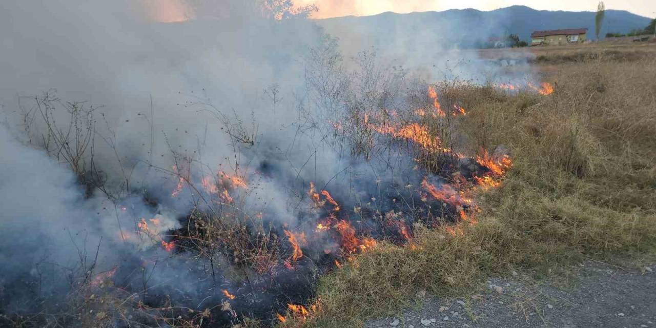 Örtü Yangınına Hortumla Müdahale Ettiler