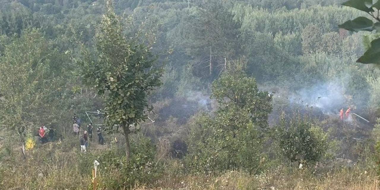 Bahçesindeki Çalıları Ateşe Veren Şahıs Dumandan Zehirlenerek Hayatını Kaybetti
