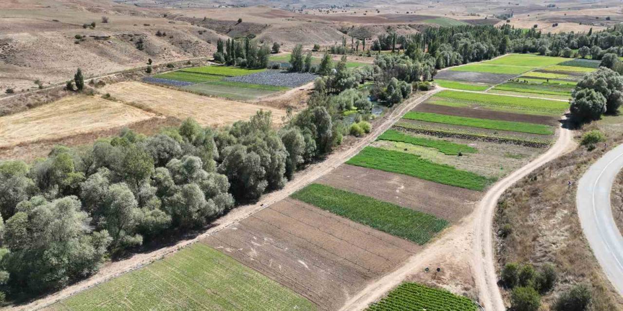 Bozkırı Ektiği Sebzelerle Yeşertti