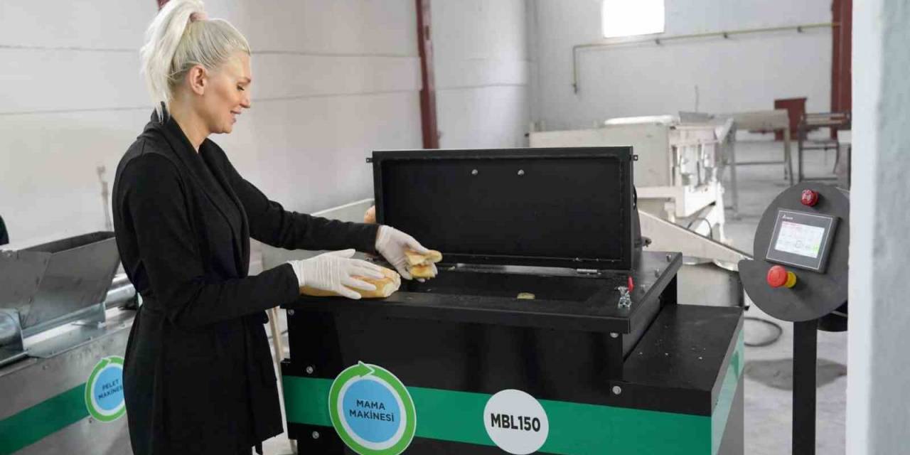 Bilecik’te Mamalar Can Dostlar İçin Ücretsiz Dağıtılıyor