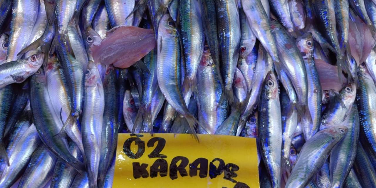 Kırmızı Ve Beyaz Ete Göre Fiyatı Makul Olan Balığa Yoğun İlgi