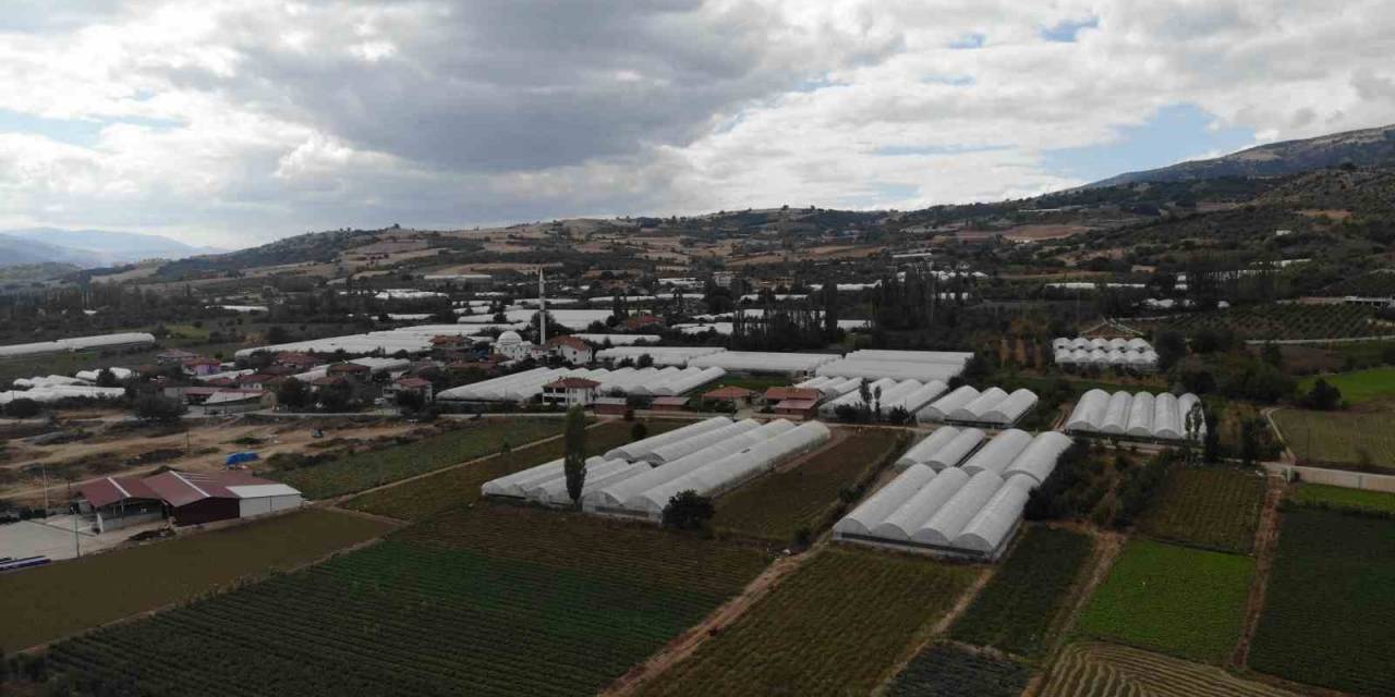 Tokat’taki Küçük Antalya: Bu Köy Göç Vermiyor Göç Alıyor