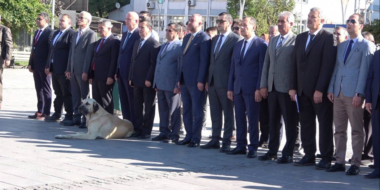 Tören Alanında Davetsiz Misafir Şoku