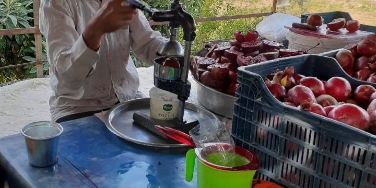 Gazipaşa’da Çekirdeksiz Ve Dikensiz Narın Hasadında Sona Gelindi