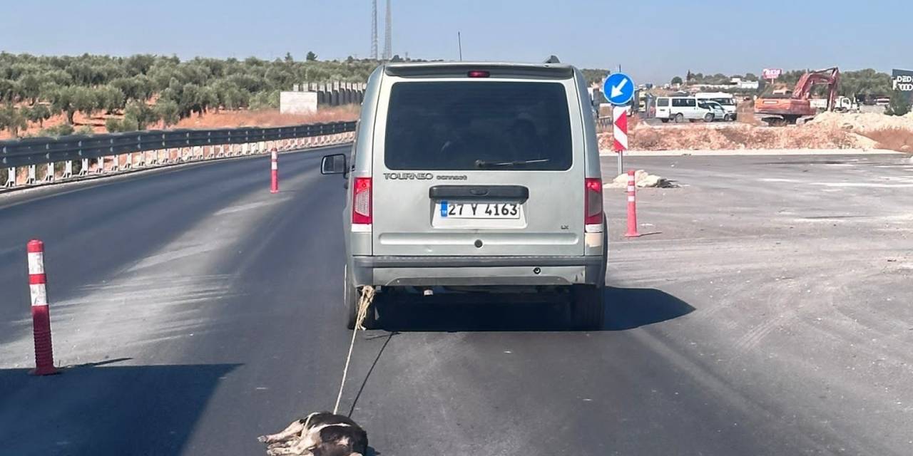 Köpeği Aracına Bağlayıp Sürükledi