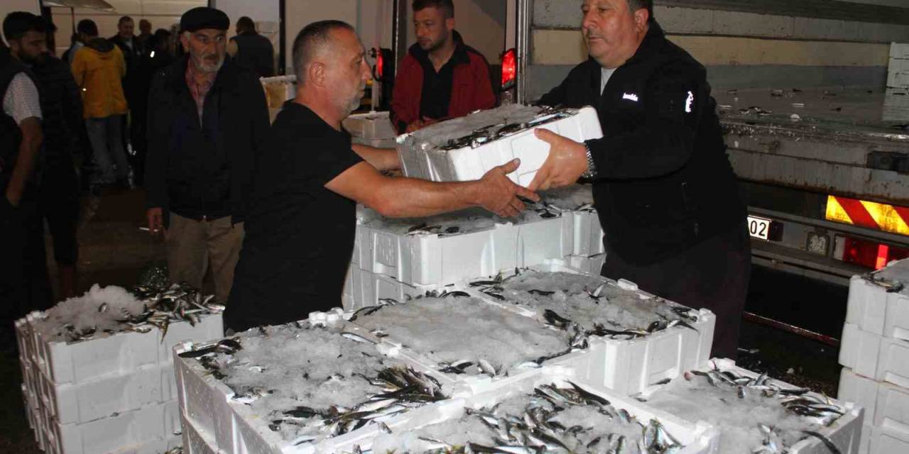 Tonlarca Balık Bir Saatte Tükeniyor