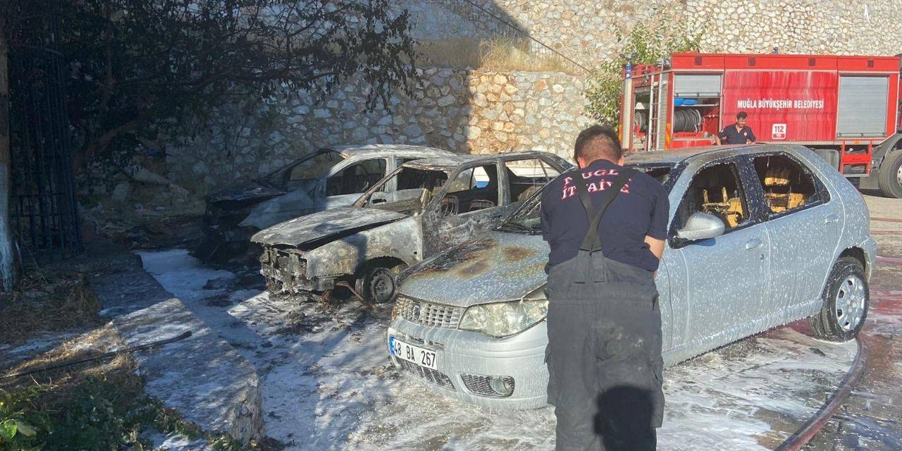 Park Halindeki Üç Araç Alevlere Teslim Oldu