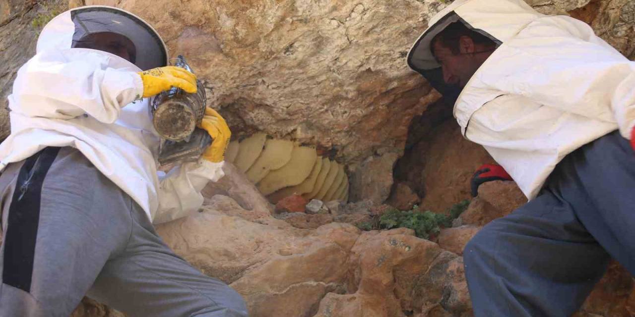 Cilo Dağı’nın 3 Bin Rakımında Keşfettiği Kaya Balını 2 Bin 500 Tl’den Satışa Çıkarttı