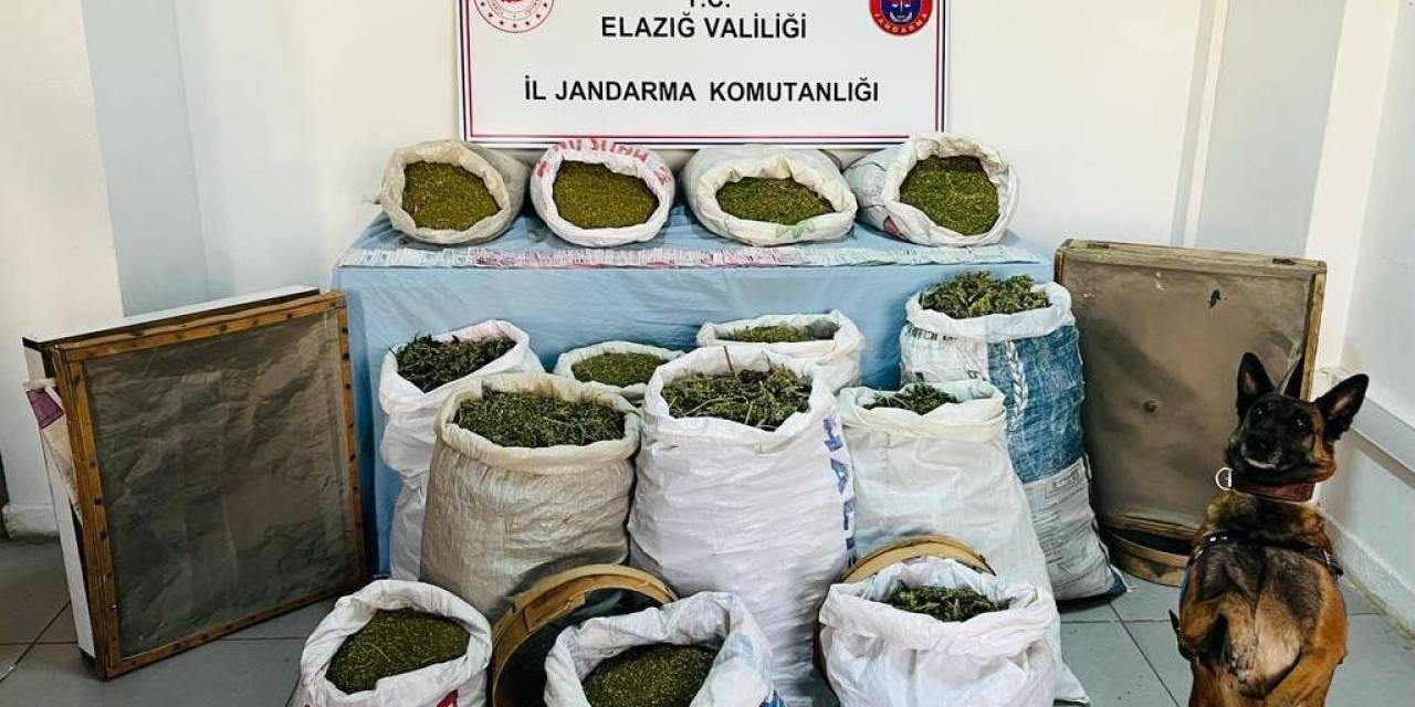Elazığ’da 241 Kilo Esrar Ele Geçirildi: 2 Tutuklama