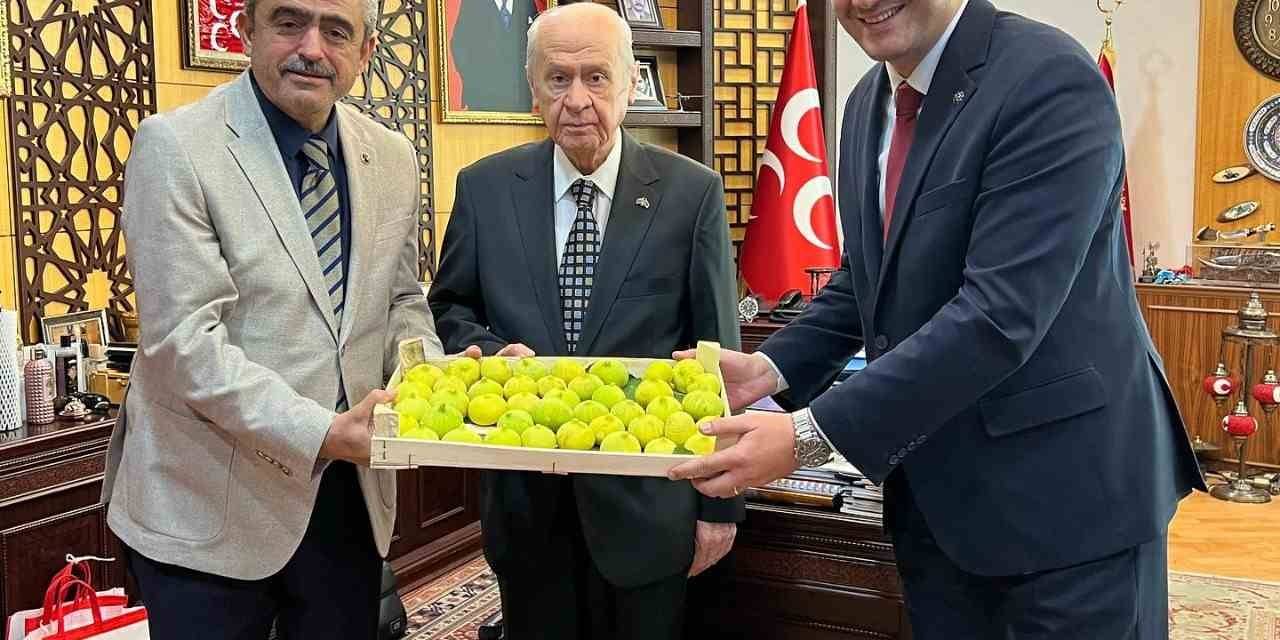 Mhp Lideri Bahçeli’ye Aydın İnciri İkramı