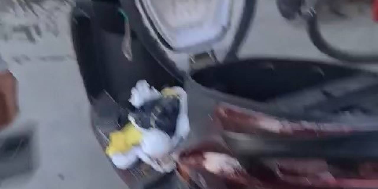 Arnavutköy’de Motosikletin Koltuk Kısmını Açtılar, Altından Yavru Kedi Çıktı