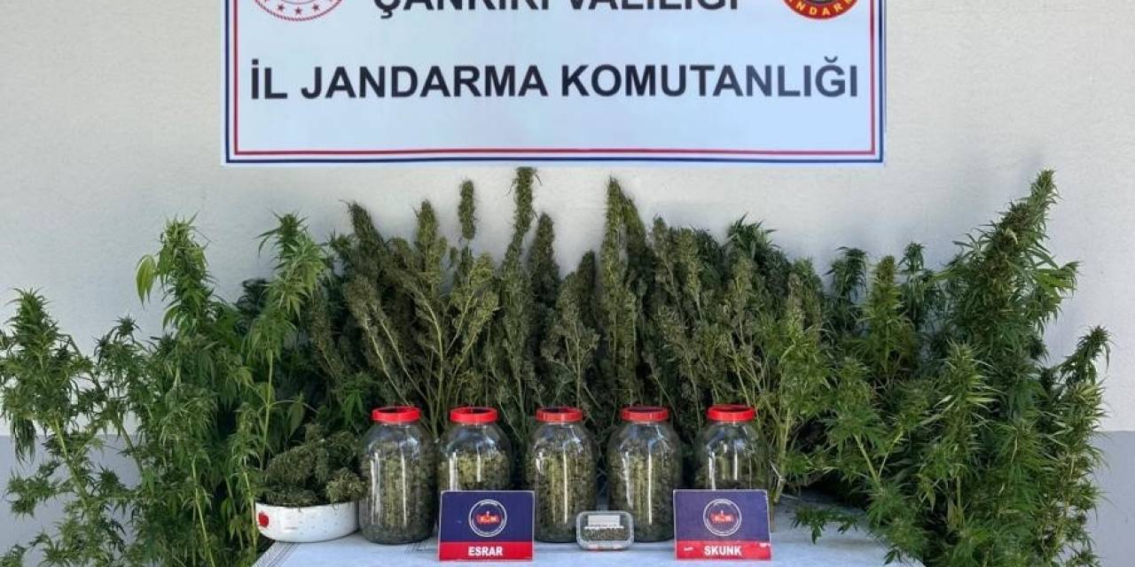 Çankırı’da Uyuşturucu Operasyonu: 1 Gözaltı