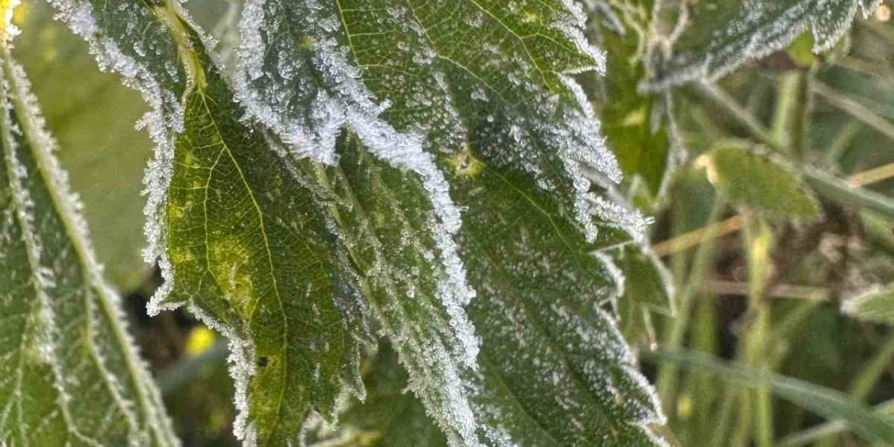 Ardahan’da Sıcaklık Sıfırın Altına Düştü