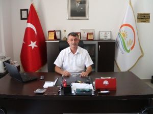 Mut Zeytini Dalında Satıldı
