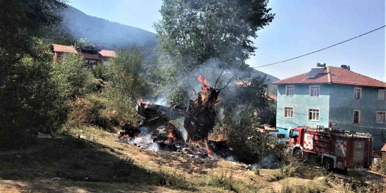 Kütahya Obg 1 Haftada 7 Kırsal Alan Ve 3 Orman Yangınına Müdahale Etti