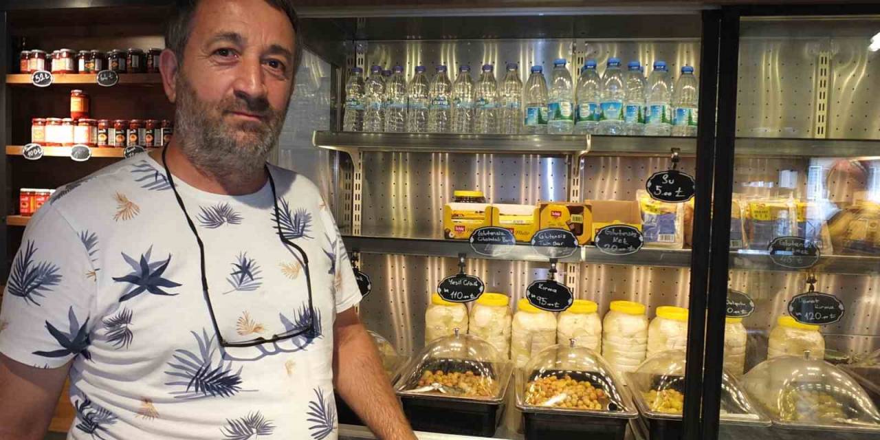 Balıkesir’de Hasat Yaklaşırken Zeytinyağı Üreticileri Mutlu