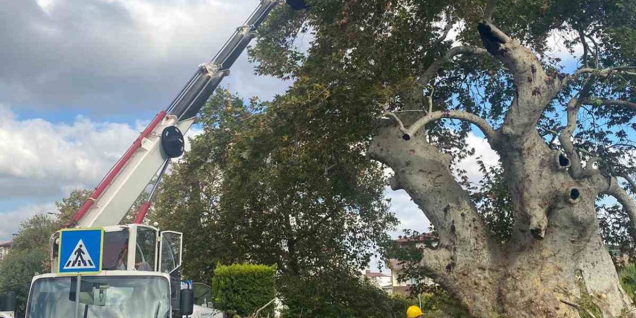 850 Yıldır Tarihe Tanıklık Ediyor