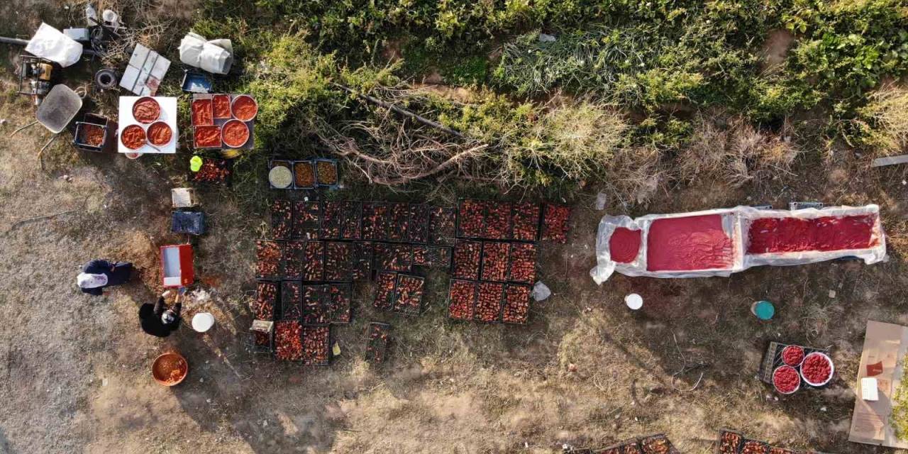 Tatvan’da Salça Kadınların Gelir Kapısı Haline Geldi