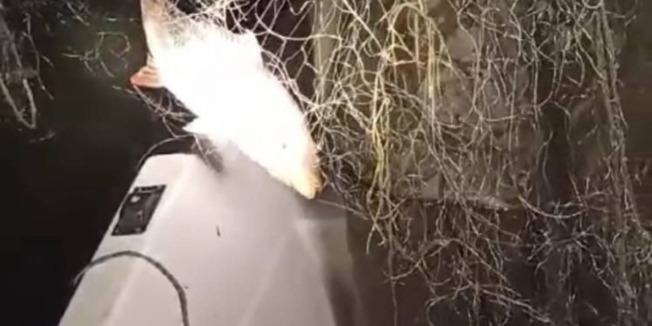 Kovada Gölü’nde Bin 200 Metre Fanyalı Ağ Ele Geçirildi