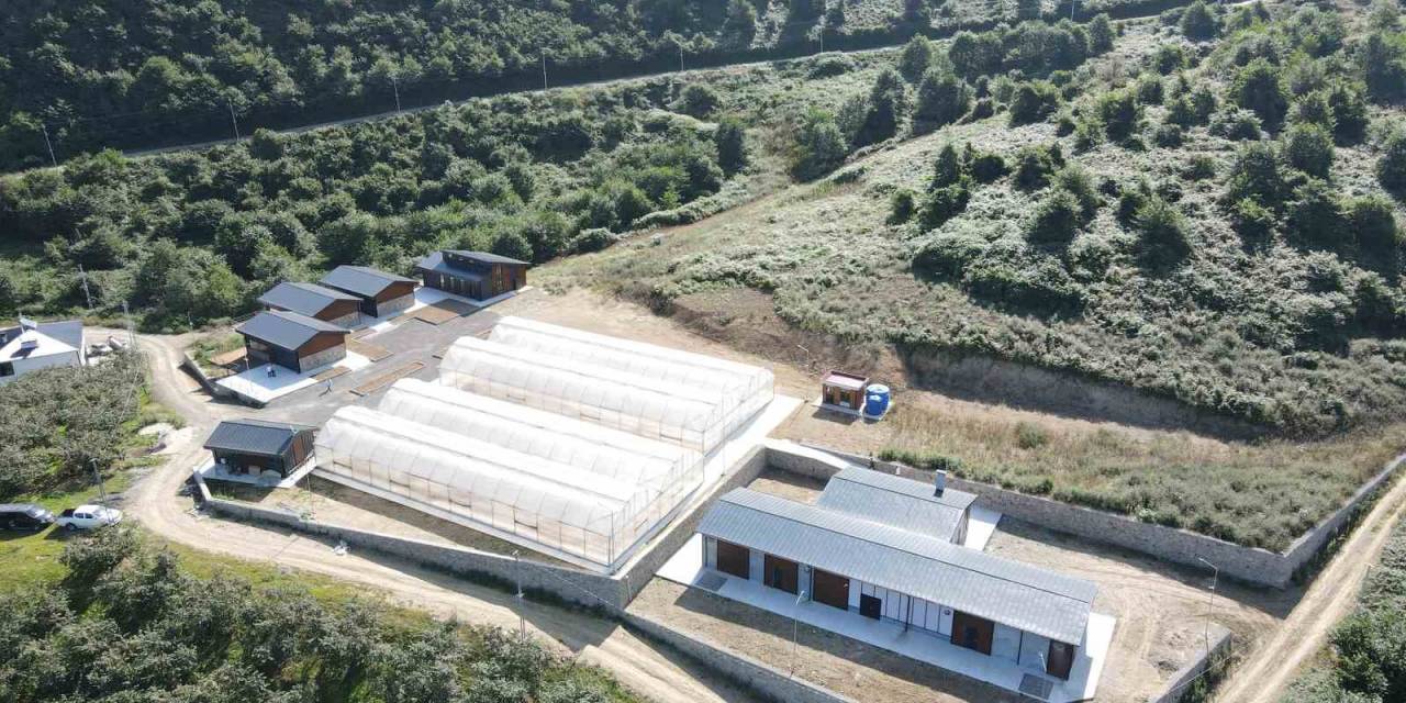 Burada Onlardan Mutlusu Olmayacak