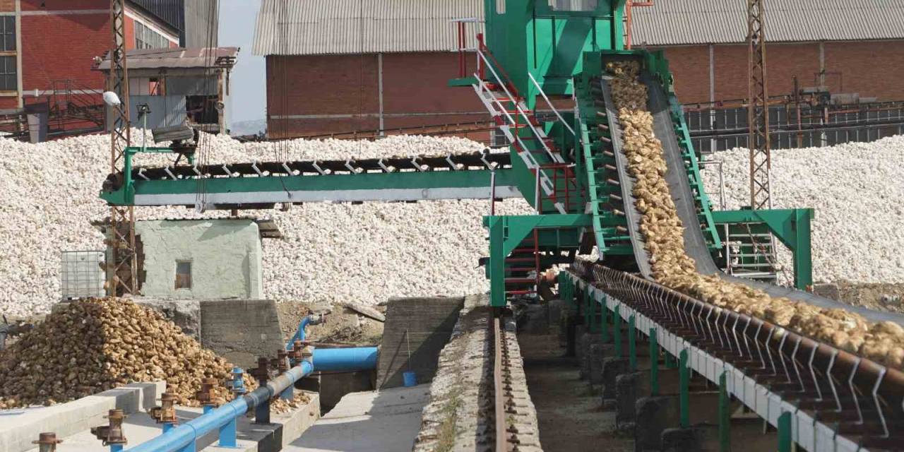 Kastamonu Şeker Fabrikasında Şeker Pancarı Alım Kampanyası Başladı