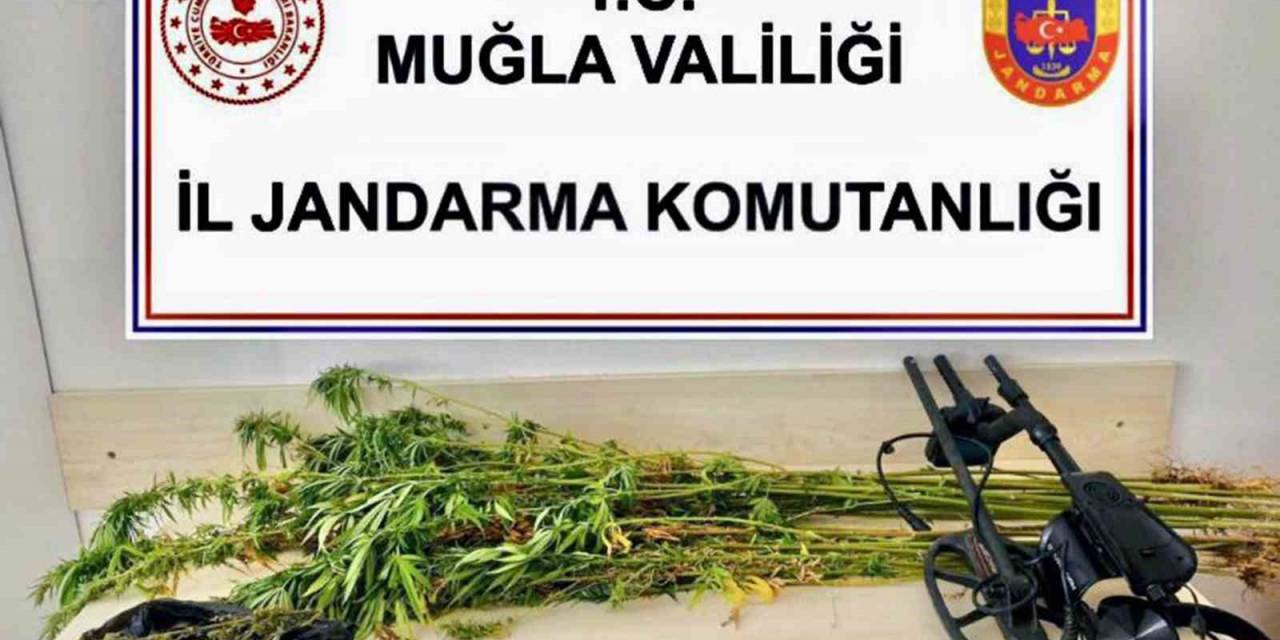 Jandarmadan Uyuşturucu Ve Tarihi Eser Operasyonu
