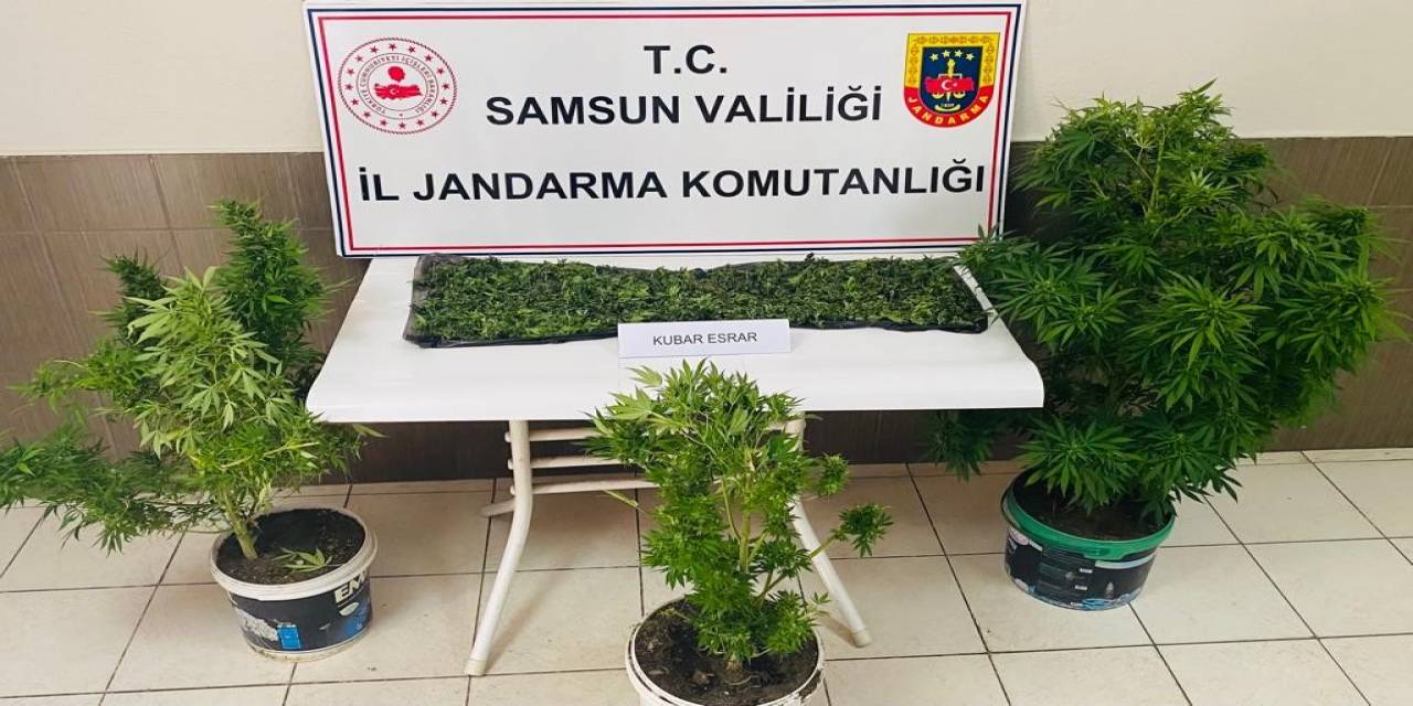 Çarşamba’da Uyuşturucu Operasyonu: 1 Tutuklama