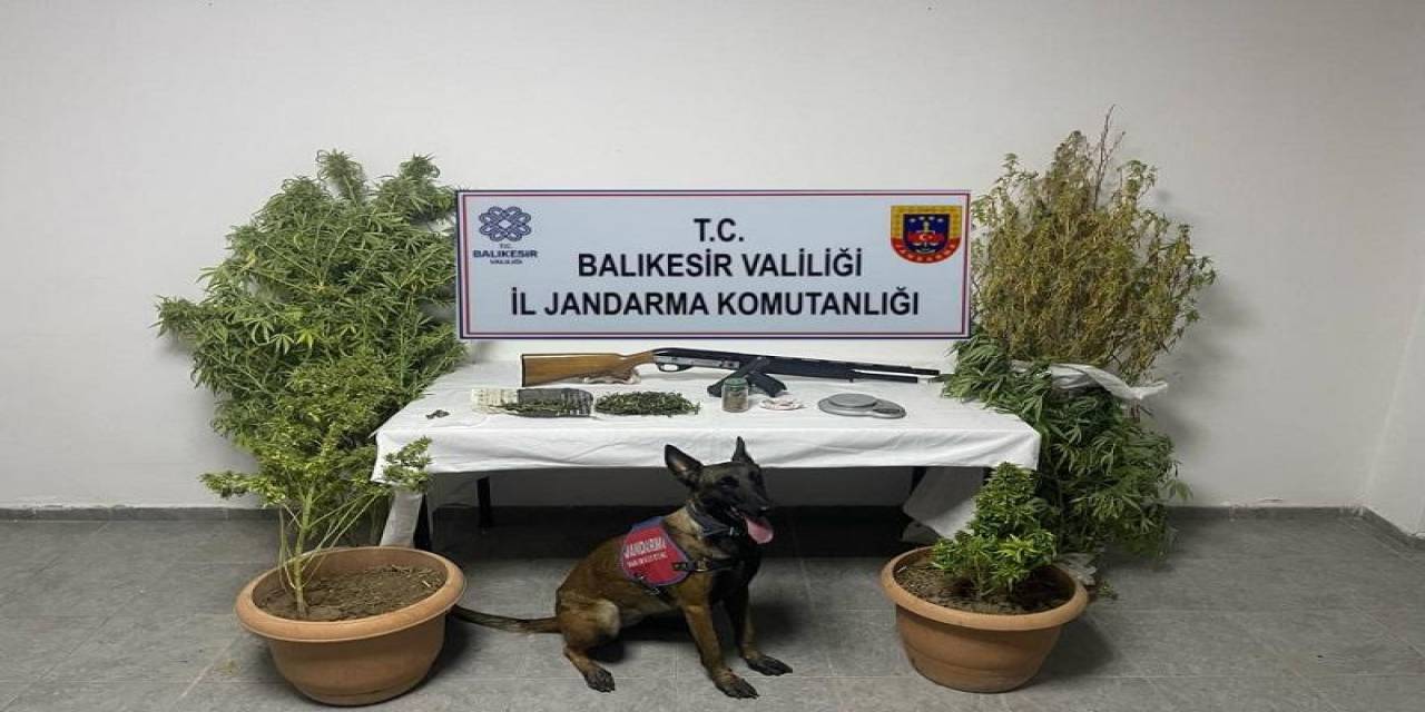 Ayvalık’ta Bir Kilogram Uyuşturucu Madde Ele Geçirildi