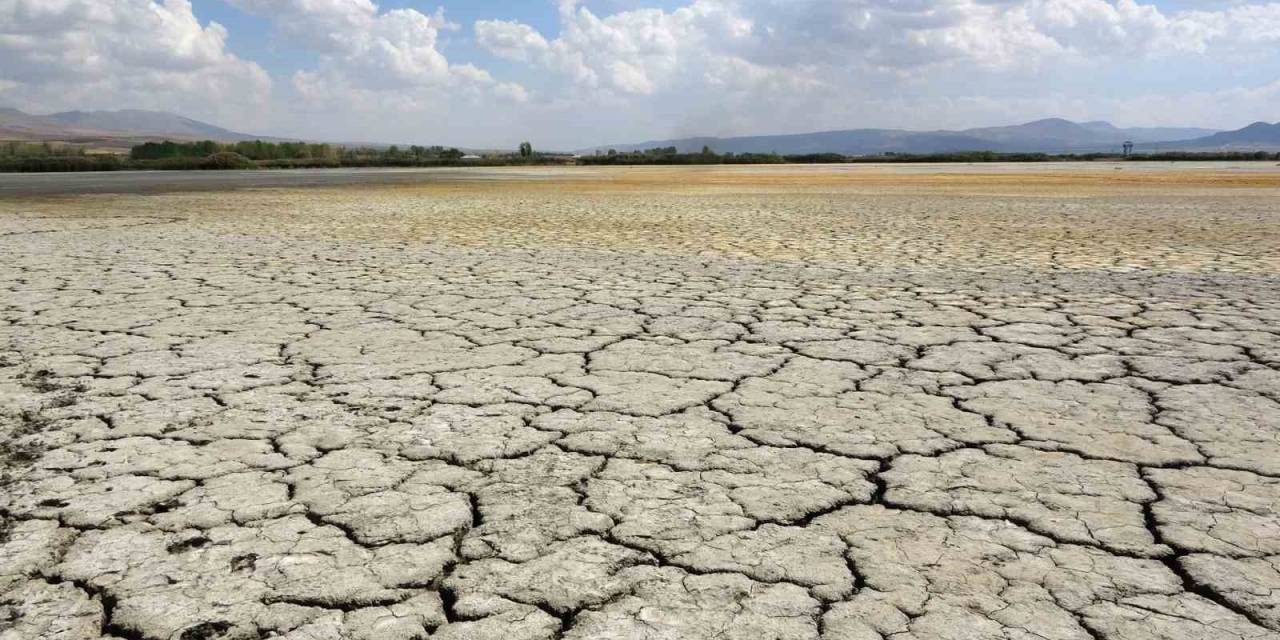 Kuş Cenneti Erçek Gölü’nün Kıyı Şeridi Buhar Oldu