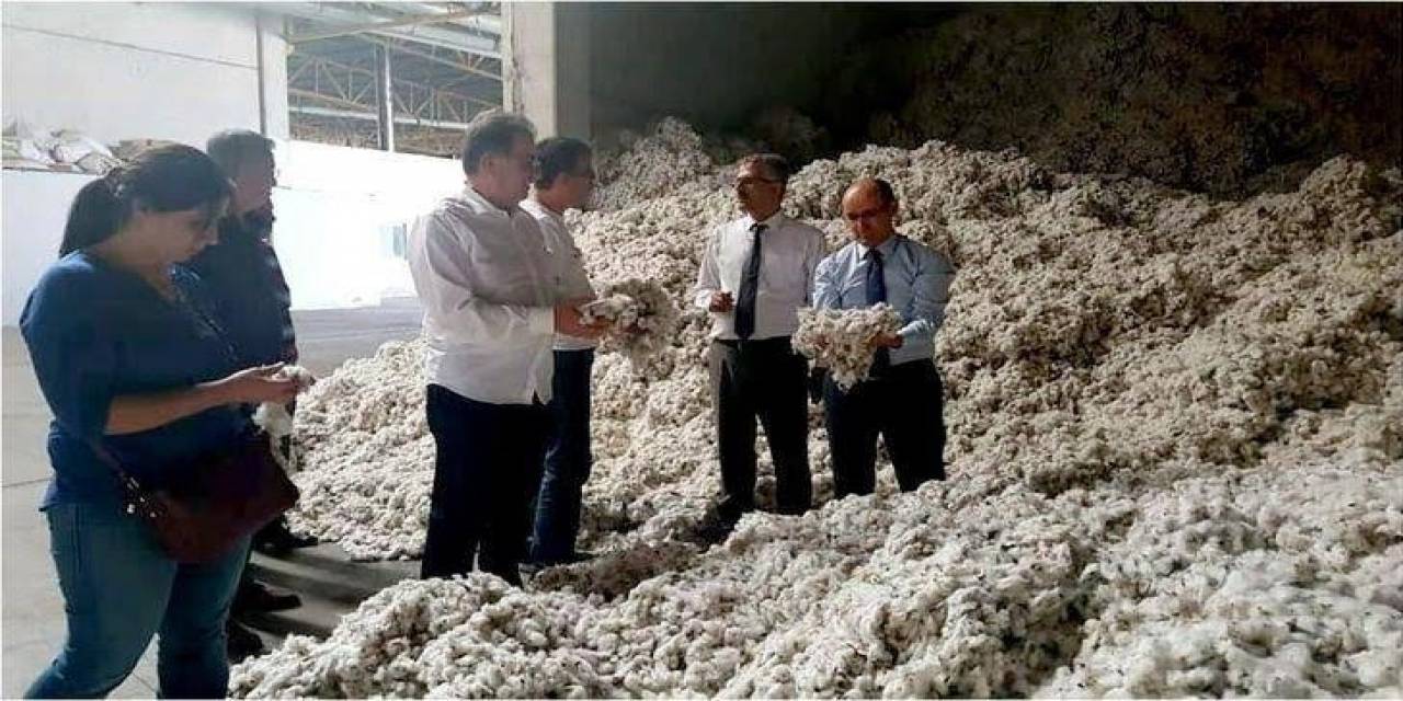 Söke’de Pamuk Hasadı Kaliteyi Korumak İçin Denetlemeler Gece Gündüz Sürecek