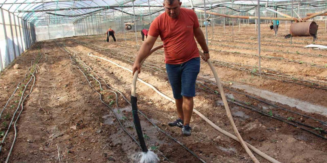 45 Bin Dekar Alanda 130 Milyon Fidan Toprakla Buluştu