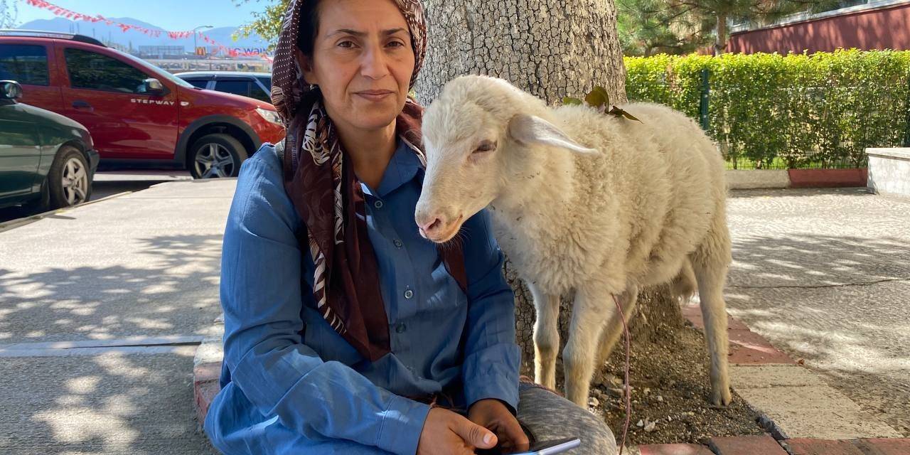 Engelli Çocuğu İçin Aldığı Kuzu Bir An Olsun Peşini Bırakmıyor