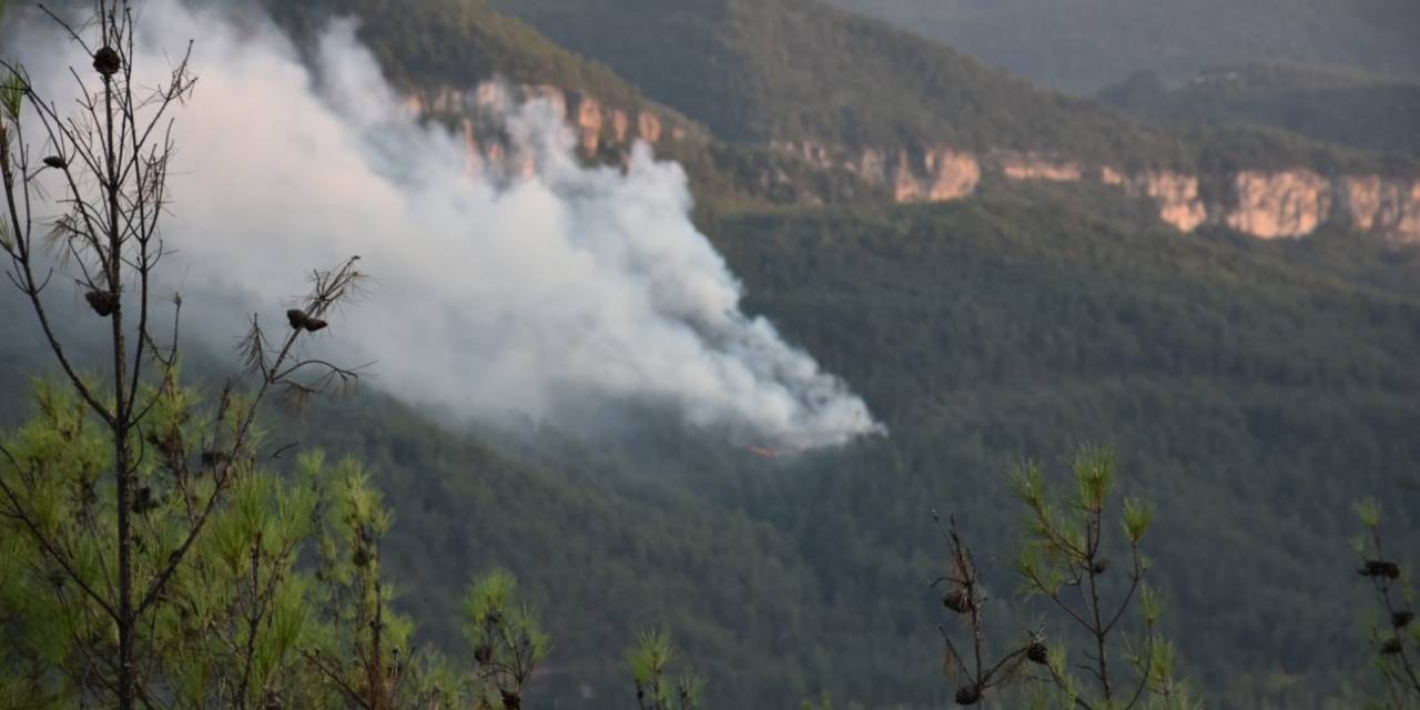 Karabük Valisi Yavuz’dan Yangın Açıklaması: "Karadan Müdahale Devam Ediyor"