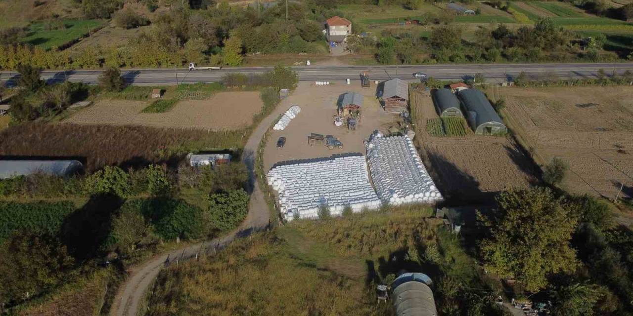 Atıl Durumda Olan Araziler Silaj Mısır Üretimiyle Canlandı