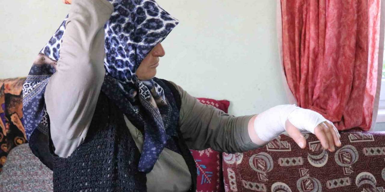 "Komşum Beni Darp Etti" Dedi, Yaşadığı Dehşeti Anlattı