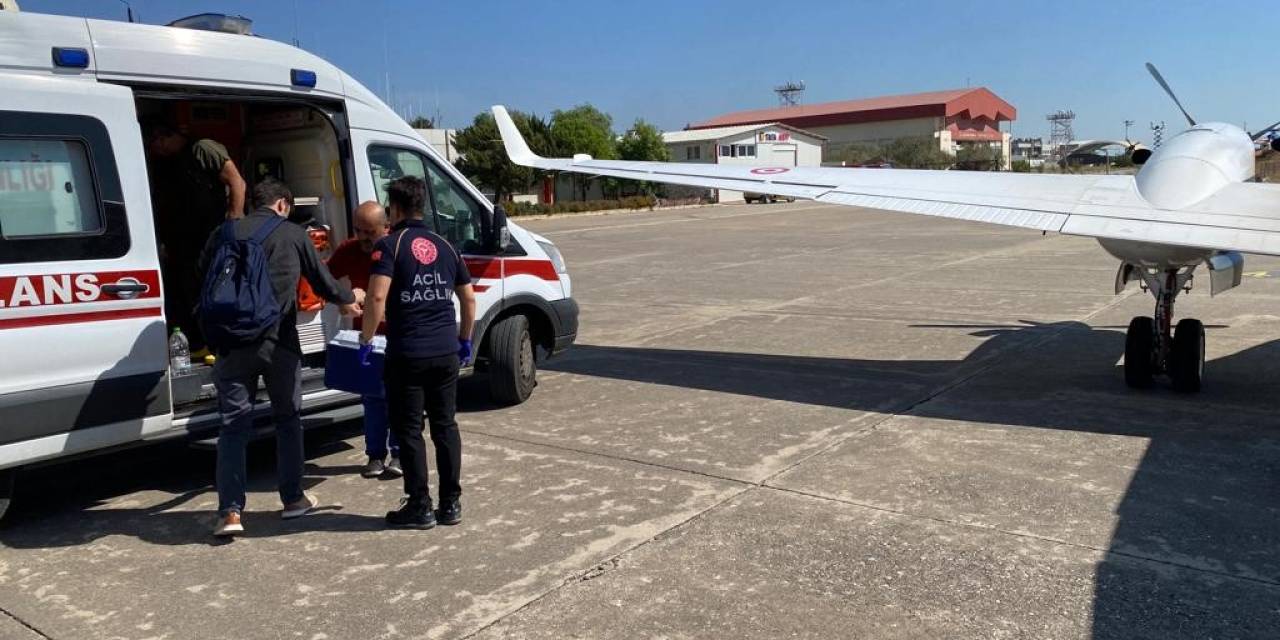 Trafik Kazasında Hayatını Kaybeden Başpınar’ın Organları 3 Kişiye Umut Olacak