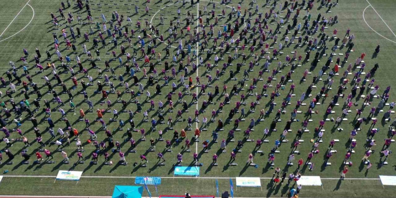 Hem Zinde Kaldılar Hem Eğlendiler