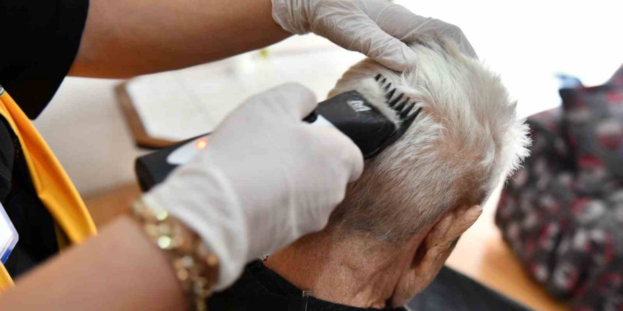 Esenyurt Belediyesi’nden Asırlık Çınarlara Kişisel Bakım Hizmeti