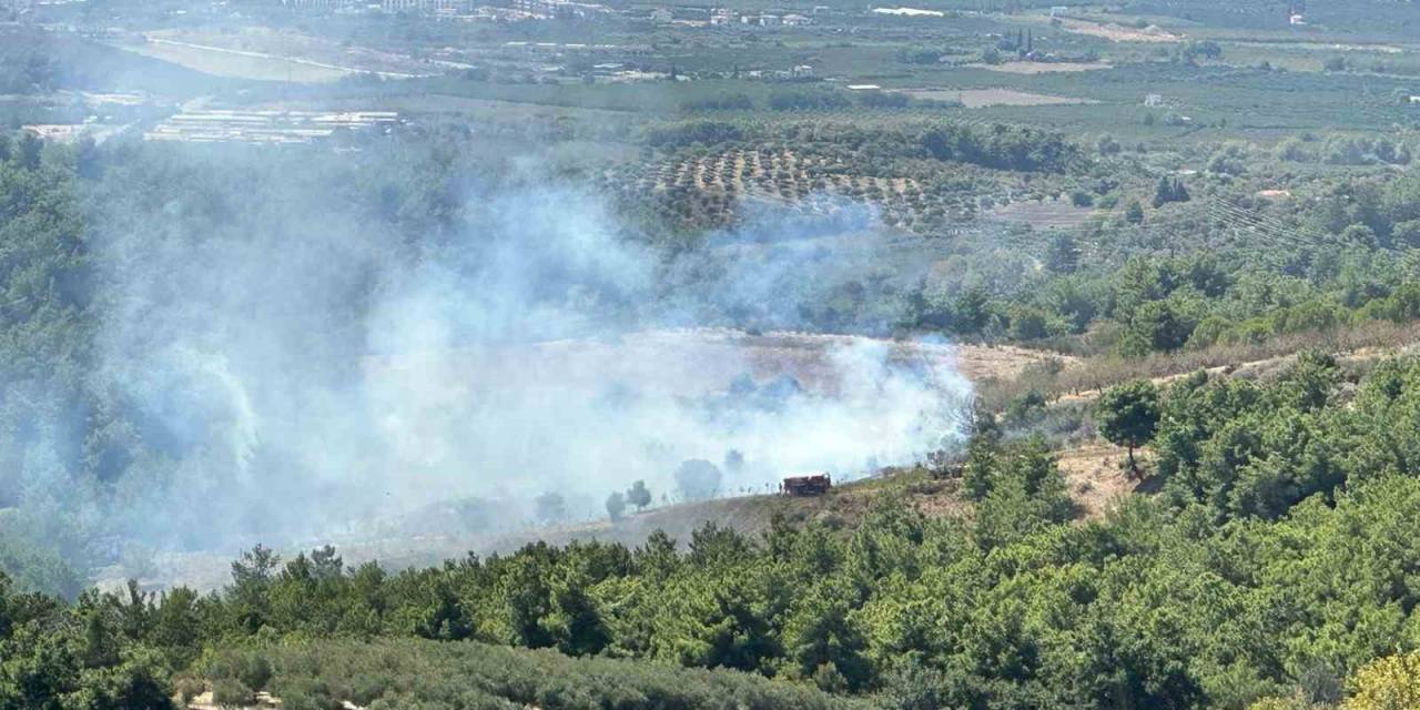 Kuşadası’ndaki Orman Yangını Büyümeden Söndürüldü