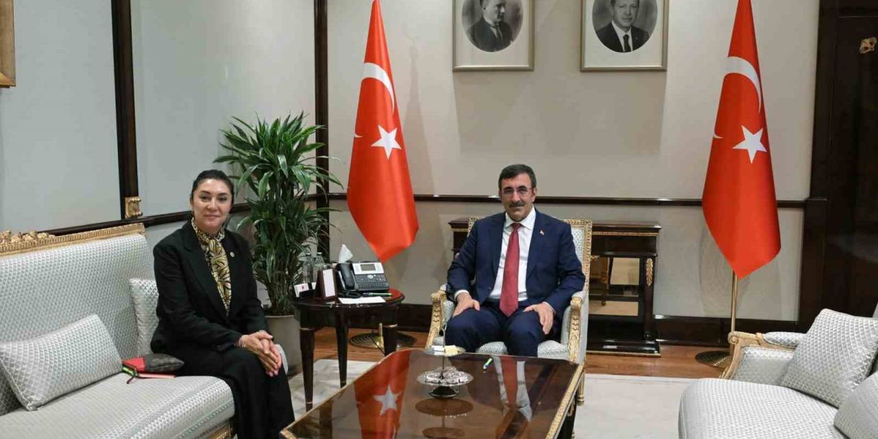 Cumhurbaşkanı Yardımcısı Yılmaz, Ağrı Milletvekili Kilerci İle Görüştü