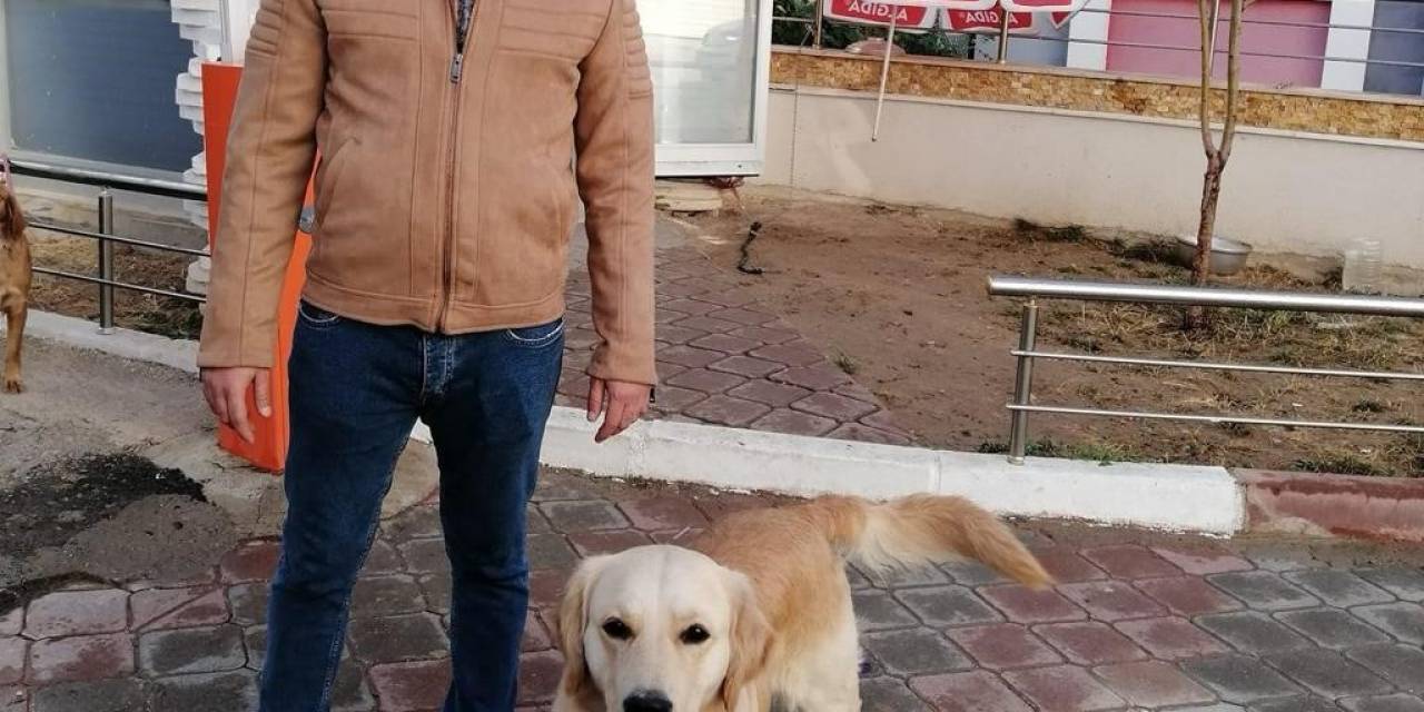 Kastamonu’da İki Motosiklet Çarpıştı: 1 Ölü, 1 Yaralı