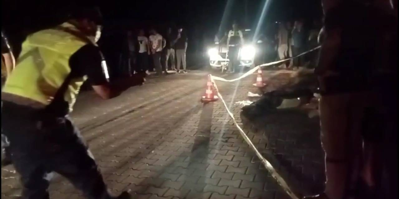 Söke’de Telefon Direğine Çarpan Motosiklet Sürücü Hayatını Kaybetti