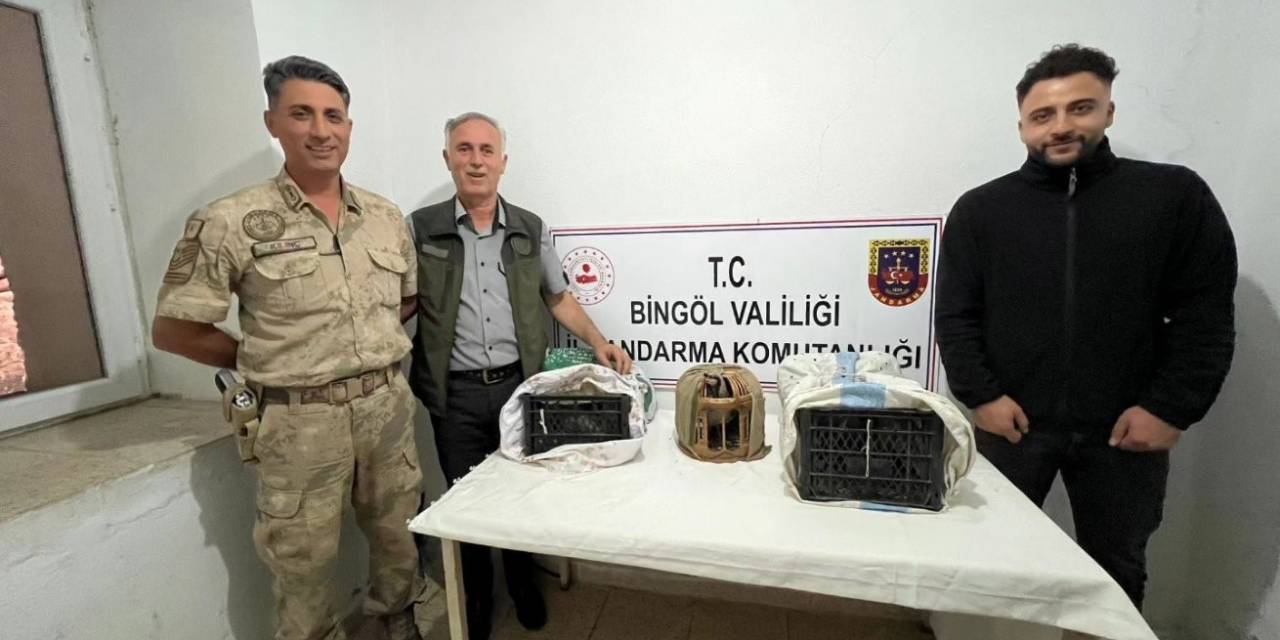 Bingöl’de Yasa Dışı Avlanan 23 Adet Kınalı Keklik Ele Geçirildi