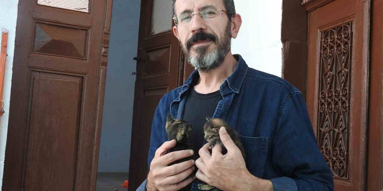 Sokak Hayvanlarına 15 Yıldır Babalık Yapıyor