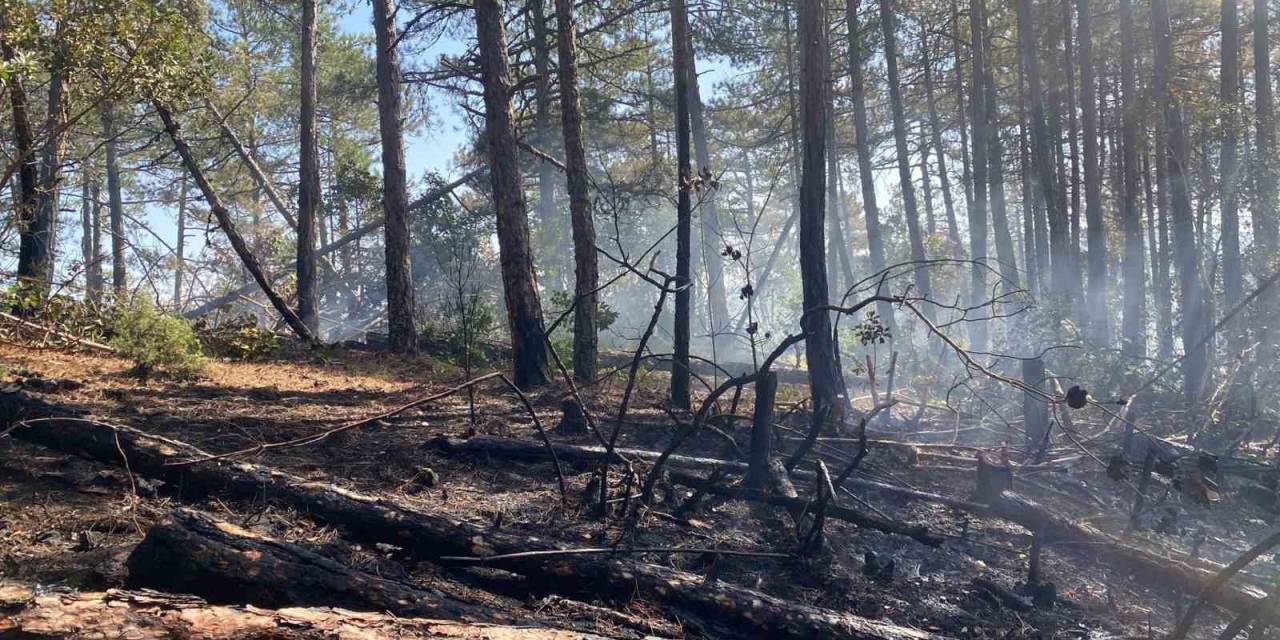 Kütahya’daki Orman Yangını İçin Bursa’da Da Seferberlik