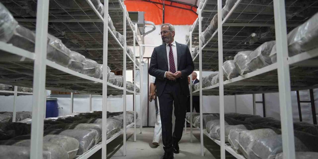 Tarsus’ta Mantar Üretim İle Sebze Ve Meyve Kurutma-paketleme Tesisleri Açıldı